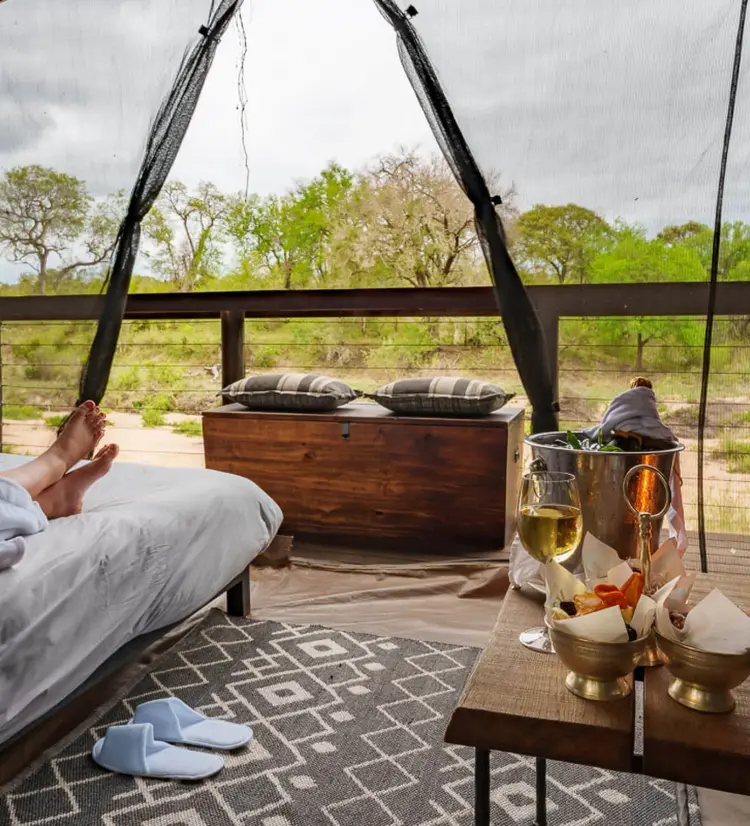 view of the river for the Main Jock Lodge